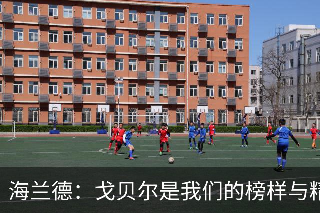 海兰德：戈贝尔是我们的榜样与精神支柱